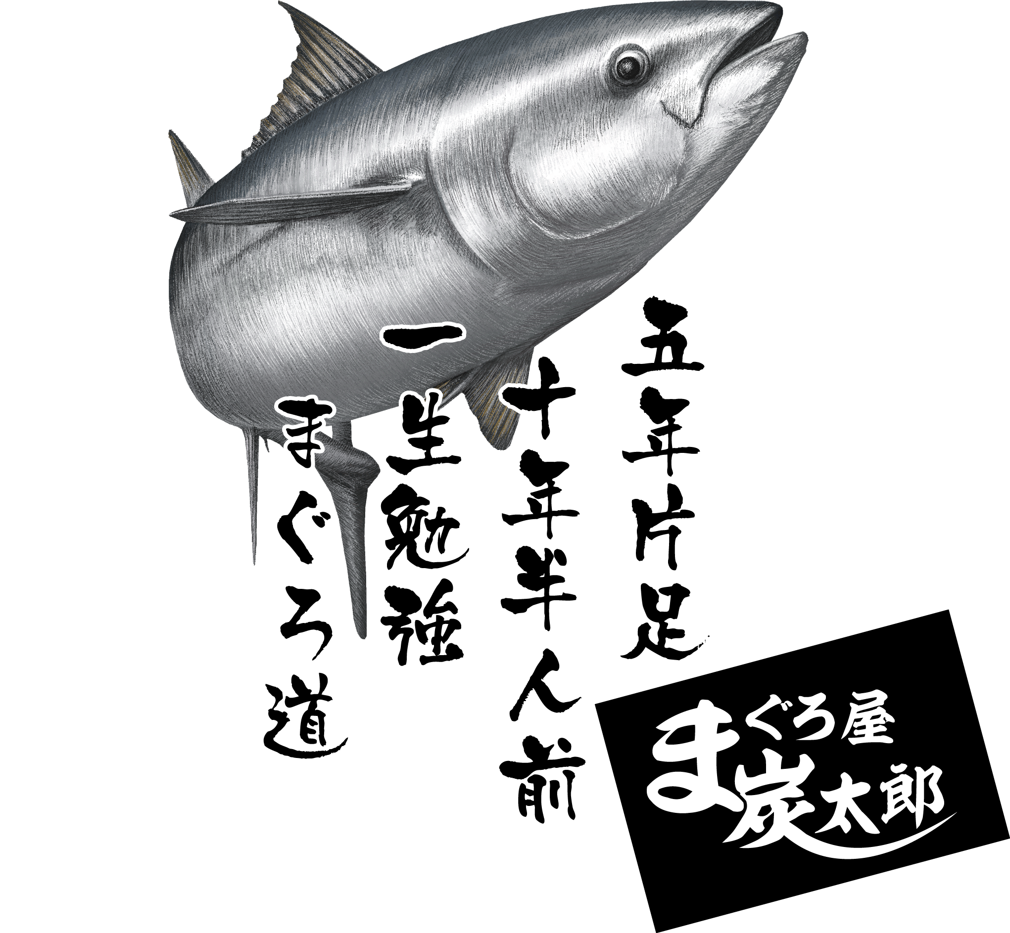 まぐろイラスト１